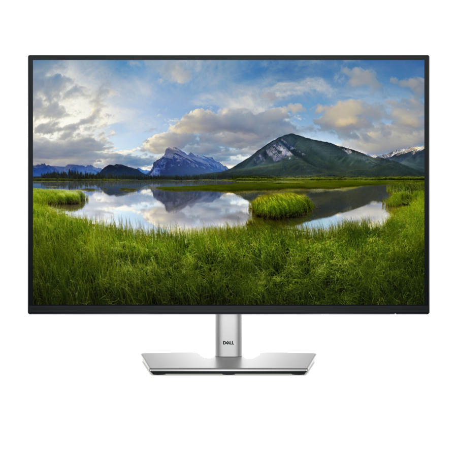DELL Monitor Dell P2425E 24” WUXGA IPS USB-C 100Hz Grigio Metallico