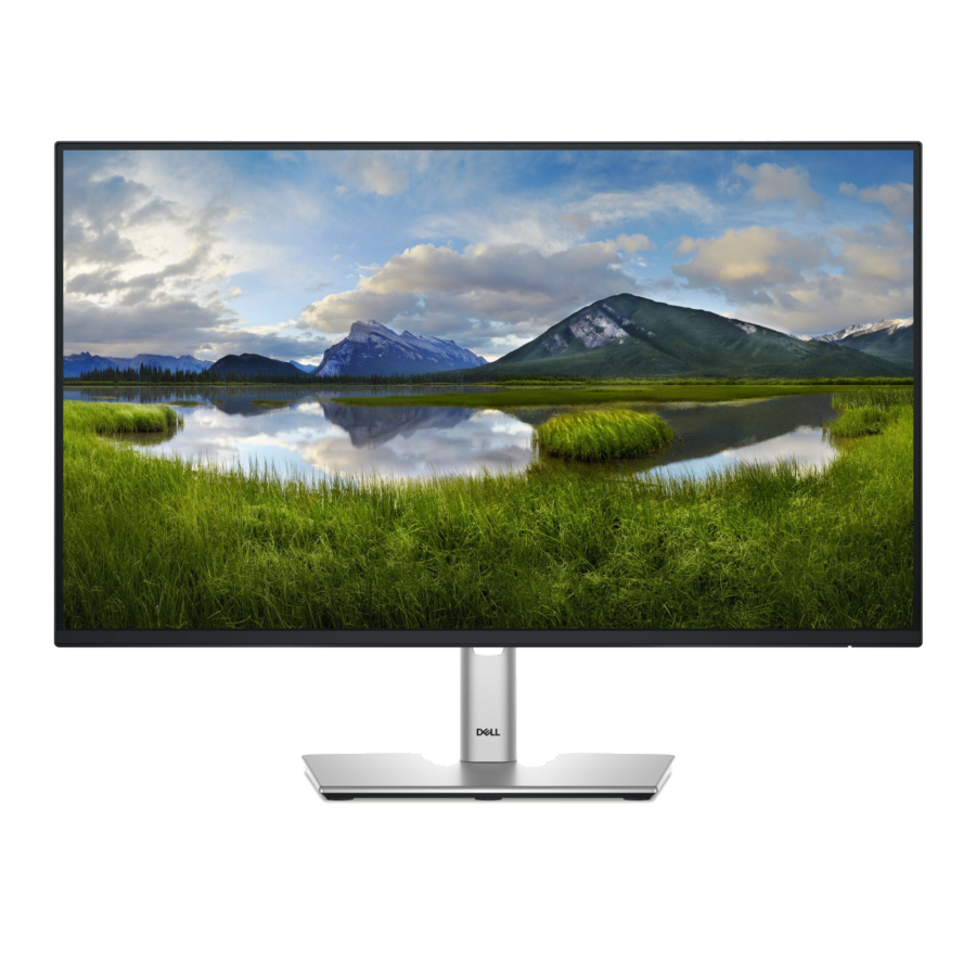 DELL Monitor Dell P2425HE 24” FullHD IPS USB-C Daisy-Chaining-Option 100Hz Grigio Metallico