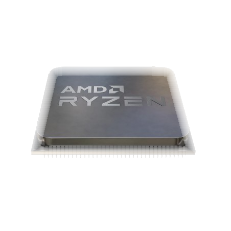 AMD Ryzen 5 5600X processor 3.7 GHz 32 MB L3 Tray